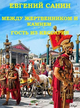 Евгений Санин Между жертвенником и камнем. Гость из Кессарии обложка книги