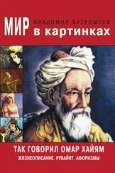 Владимир Бутромеев - Так говорил Омар Хайям. Жизнеописание. Избранные афоризмы и рубайят