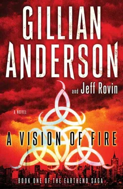 Gillian Anderson A Vision of Fire обложка книги