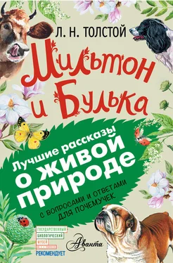 Евгения Вязникова Мильтон и Булька. С вопросами и ответами для почемучек обложка книги