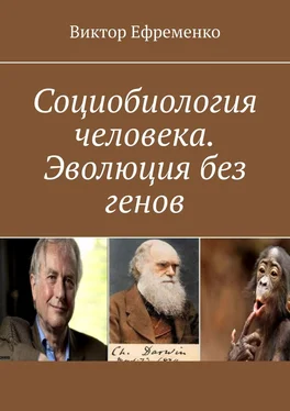 Виктор Ефременко Социобиология человека. Эволюция без генов. Социальная (культурная) эволюция обложка книги