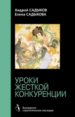 Елена Садыкова - Хроники императорского гарема. Интриги. Власть. Уроки жесткой конкуренции