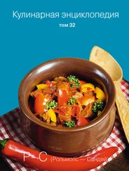 Надежда Бондаренко - Кулинарная энциклопедия. Том 32. Р-С (Рольмопс – Сандей)