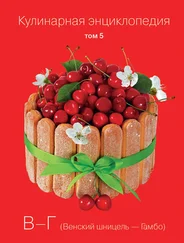 Наталья Шинкарёва - Кулинарная энциклопедия. Том 5. В-Г (Венский шницель – Гамбо)