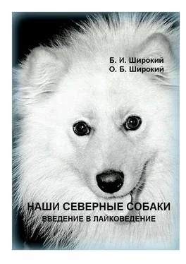 Борис Широкий Наши северные собаки. Введение в лайковедение обложка книги