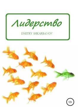 Dmitry Shkarbanov Лидерство D.SH. обложка книги