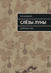 Рин Дзаебара - Слёзы луны. Дзуйхицу 2005