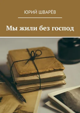 Юрий Шварёв Мы жили без господ обложка книги