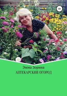 Эмма Зорина Аптекарский огород обложка книги