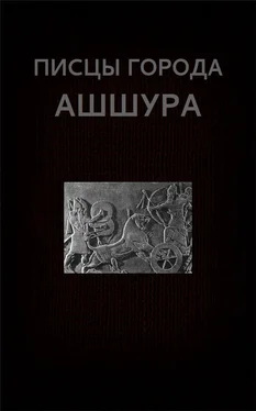 Вадим Астанин Писцы города Ашшура обложка книги