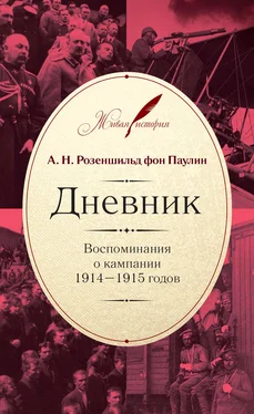 Анатолий Розеншильд фон Паулин Дневник: Воспоминания о кампании 1914–1915 годов обложка книги