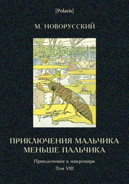 Михаил Новорусский Приключения мальчика меньше пальчика обложка книги