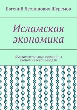 Евгений Шуремов Исламская экономика. Фундаментальные принципы экономической модели обложка книги