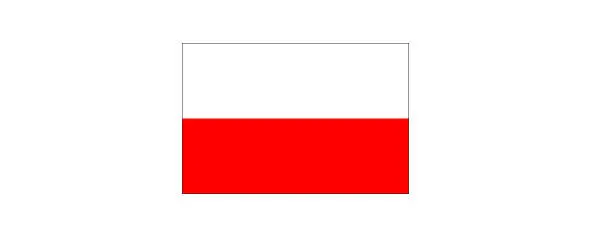 Герб имеет рассеченный щит в черном правом поле золотой орел в левом два - фото 41