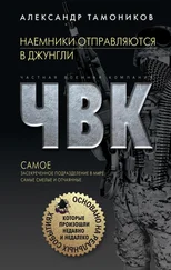 Александр Тамоников - Наемники отправляются в джунгли