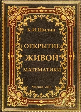 Ким Шилин Открытие живой математики – стратегии творчества жизни обложка книги