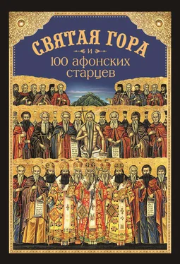 Николай Посадский Святая Гора и 100 афонских старцев обложка книги