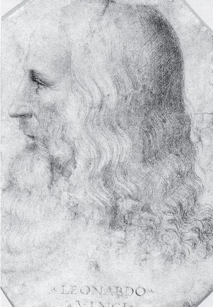Портрет Леонардо да Винчи в профиль Франческо Мельци 15151518 - фото 3