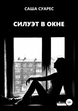 Саша Суарес Силуэт в окне обложка книги