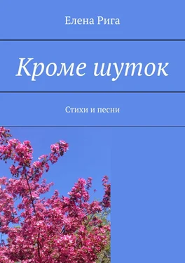 Елена Рига Кроме шуток. Стихи и песни обложка книги