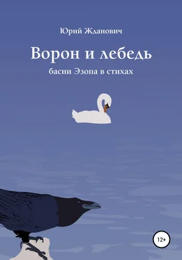 Юрий Жданович Ворон и лебедь обложка книги