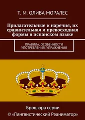 Татьяна Олива Моралес - Прилагательные и наречия, их сравнительная и превосходная формы в испанском языке. Правила, особенности употребления, упражнения
