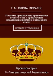 Татьяна Олива Моралес - Условные придаточные предложения первого типа и придаточные предложения времени в испанском языке. Правила и упражнения