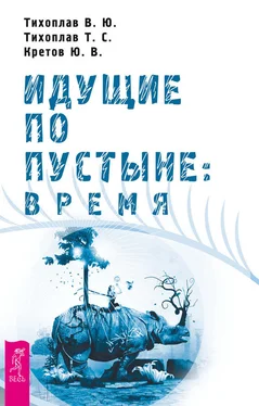 Татьяна Тихоплав Идущие по пустыне: время обложка книги