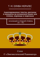 Татьяна Олива Моралес - Адаптированные тексты, рассказы и анекдоты на испанском языке для чтения, перевода и пересказа. Начальный и средний уровень (А1 – В2)