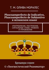 Татьяна Олива Моралес - Pluscuamperfecto de Indicativo, Pluscuamperfecto de Subjuntivo в испанском языке. Употребление, построение, сигнальные слова, правила и упражнения