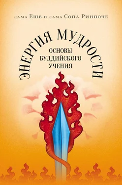 лама Сопа Ринпоче Энергия мудрости. Основы буддийского учения обложка книги