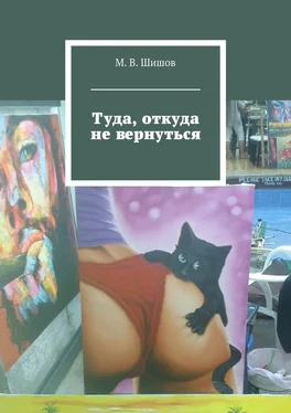 М. Шишов Туда, откуда не вернуться обложка книги