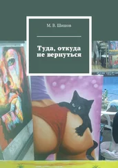 М. Шишов - Туда, откуда не вернуться