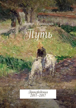 Петр Ваницын Путь. Произведения 2011—2017 обложка книги