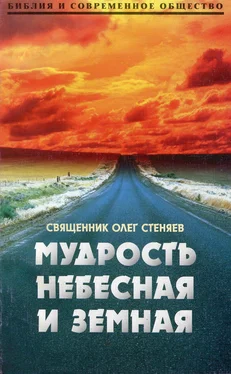 Олег Стеняев Мудрость небесная и земная. Беседы на Соборное послание святого апостола Иакова обложка книги