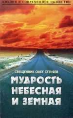 Олег Стеняев - Мудрость небесная и земная. Беседы на Соборное послание святого апостола Иакова