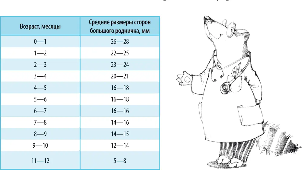 Сроки закрытия большого родничка очень индивидуальны Как правило это - фото 18