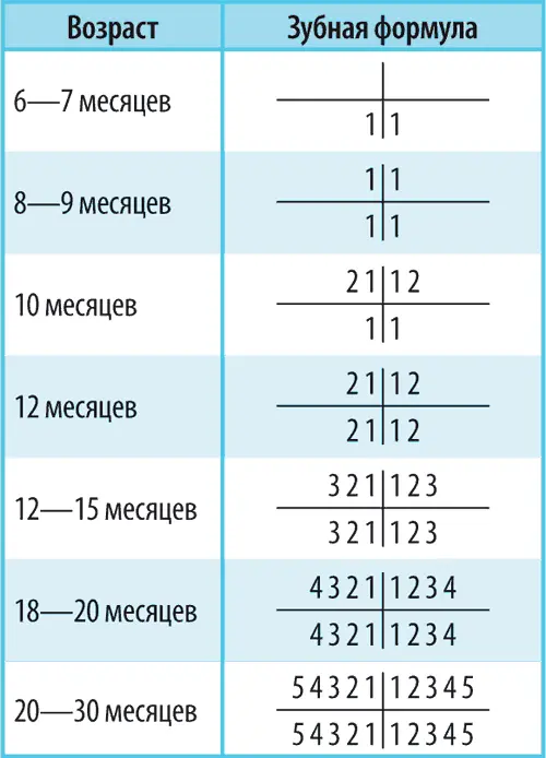 Существует формула для ориентировочного подсчета количества молочных зубов у - фото 22