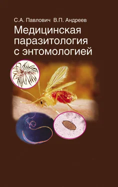 Виктор Андреев Медицинская паразитология с энтомологией обложка книги