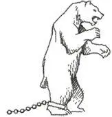 Yes indeed Fitch said And Ballintain was the correct choice in this - фото 34