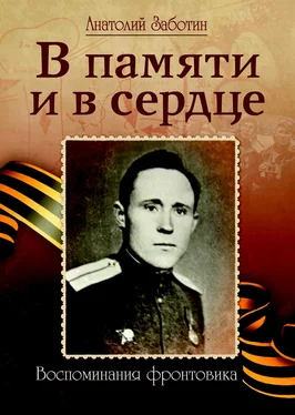 Анатолий Заботин В памяти и в сердце обложка книги