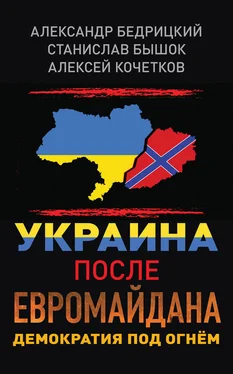 Александр Бедрицкий Украина после Евромайдана. Демократия под огнём обложка книги