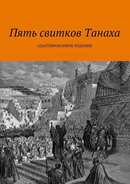 Array Коллектив авторов Пять свитков Танаха обложка книги