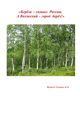 Хлынова Фёдоровна Берёза символ России, а Волжский – город берёз обложка книги