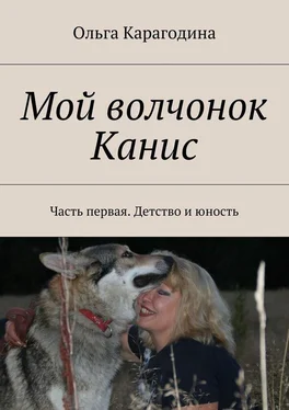 Ольга Карагодина Мой волчонок Канис. Часть первая. Детство и юность обложка книги