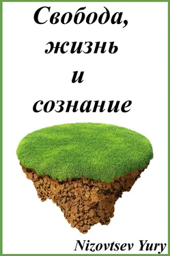 Юрий Низовцев В чем, как и для чего действует свобода? обложка книги