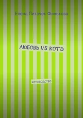Елена Финькова - Любовь vs Котэ