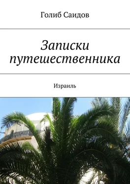 Голиб Саидов Записки путешественника. Израиль обложка книги