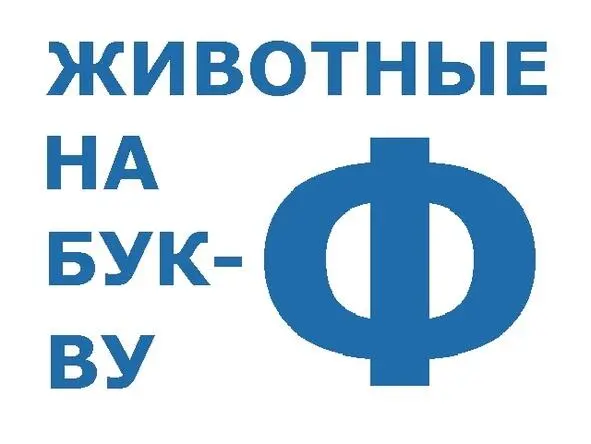 Фазан Он не любит пармезан И вообще сыров не ест Он как куры на ночлег - фото 1