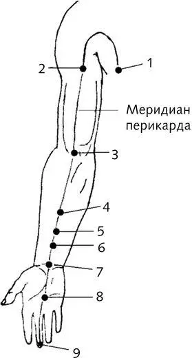 Рис 3 Меридиан перикарда 2 Тяньцюаньнебесный родник расположена на 2 - фото 10